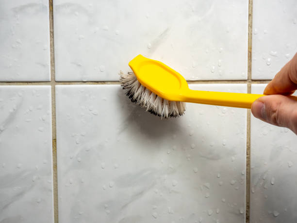 Best Home Mold Removal  in Monahans, TX