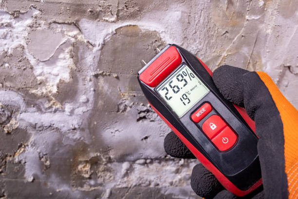 Best Attic Mold Removal  in Monahans, TX