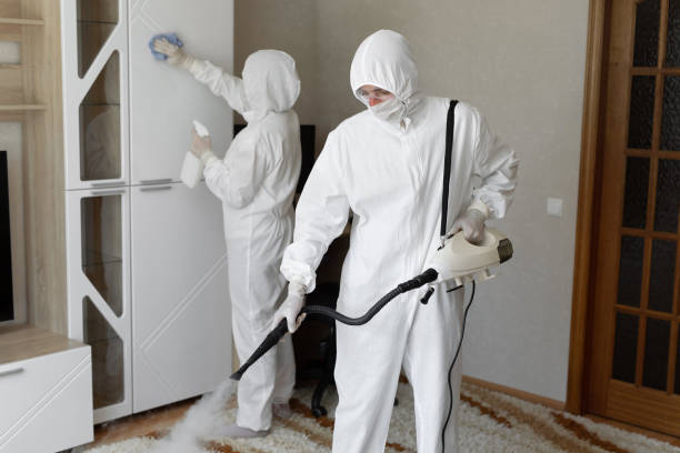 Best Certified Mold Removal  in Monahans, TX