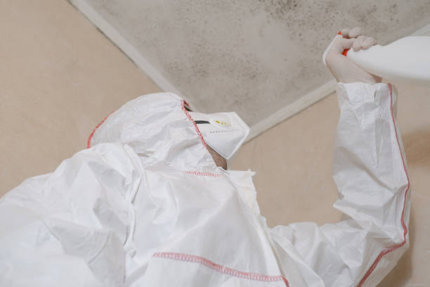 Best Mold Removal Near Me  in Monahans, TX